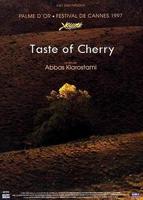 美剧《美丽小樱桃》在线看